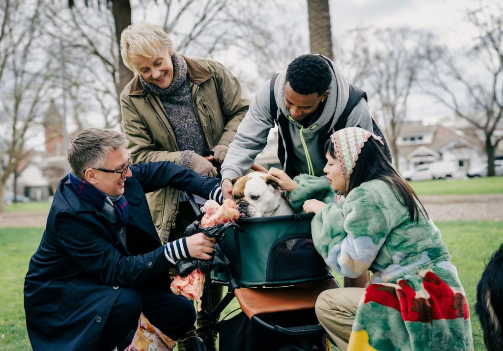 The cast of Dog Park petting a dog in a pram